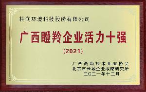 2021年广西瞪羚企业活力10强